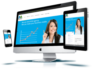 Software Development Agency