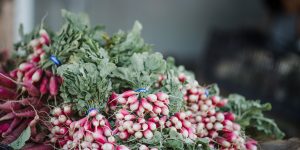 Sabzi Mandi Software, Modern Webz, Vegetable Market Software, Red Apple Mandi Software
